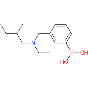 (3-([ethyl(2-methylbutyl)amino]methyl)phenyl)boronic acid