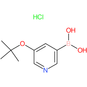 5-(tert-butoxy)pyridine-3-boronic acid-hcl