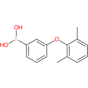 (3-(2,6-dimethylphenoxy)phenyl)boronic acid