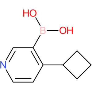 4-(cyclobutyl)pyridine-3-boronic acid