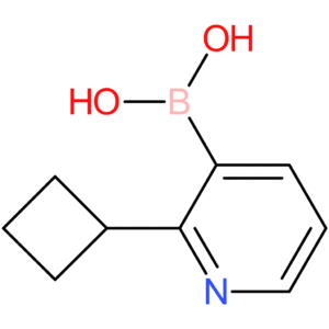 2-(cyclobutyl)pyridine-3-boronic acid