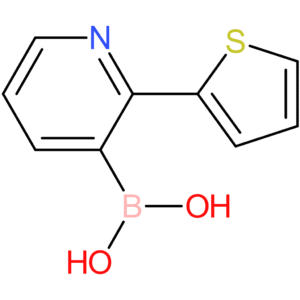 2-(2-thienyl)pyridine-3-boronic acid