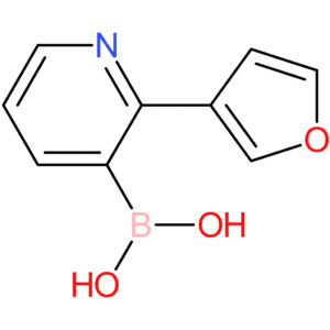 2-(3-furyl)pyridine-3-boronic acid
