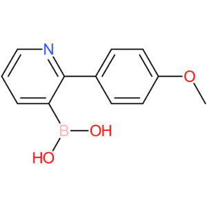 2-(4-methoxyphenyl)pyridine-3-boronic acid