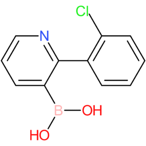 2-(2-chlorophenyl)pyridine-3-boronic acid