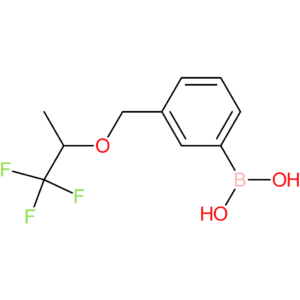 (3-([(1,1,1-trifluoropropan-2-yl)oxy]methyl)phenyl)boronic acid