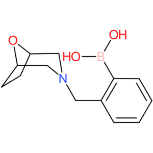 (2-(8-oxa-3-azabicyclo[3.2.1]octan-3-ylmethyl)phenyl)boronic acid