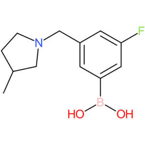 (3-fluoro-5-[(3-methylpyrrolidin-1-yl)methyl]phenyl)boronic acid