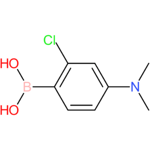 (2-chloro-4-(dimethylamino)phenyl)boronic acid
