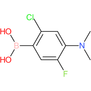 (2-chloro-4-dimethylamino-5-fluorophenyl)boronic acid