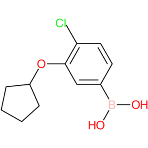 4-chloro-3-cyclopentyloxyphenylboronic acid