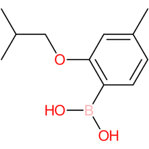 2-isobutoxy-4-methylphenylboronic acid