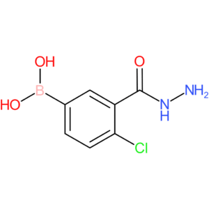 benzoic acid, 5-borono-2-chloro-, 1-hydrazide