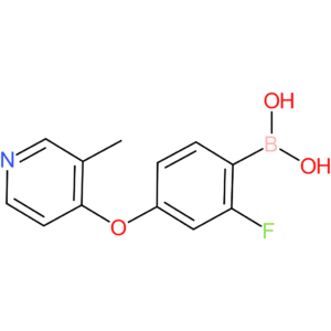 b-[2-fluoro-4-[(2-methyl-4-pyridinyl)oxy]phenyl]-boronic acid