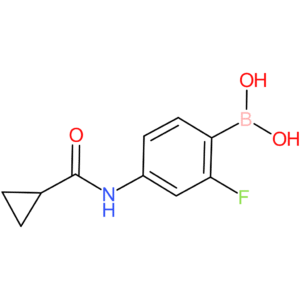 b-[4-[(cyclopropylcarbonyl)amino]-2-fluorophenyl]-boronic acid