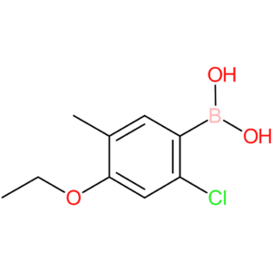 (2-chloro-4-ethoxy-5-methylphenyl)boronic acid