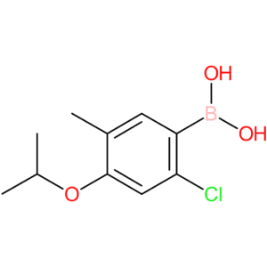 b-[2-chloro-5-methyl-4-(1-methylethoxy)phenyl]-boronic acid
