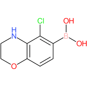 (5-chloro-3,4-dihydro-2h-1,4-benzoxazin-6-yl)boronic acid