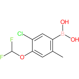 b-[5-chloro-4-(difluoromethoxy)-2-methylphenyl]-boronic acid