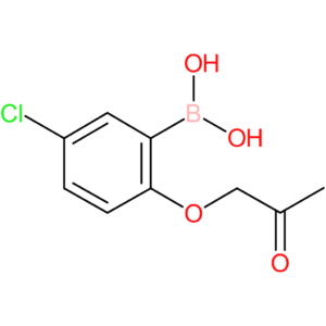 b-[5-chloro-2-(2-oxopropoxy)phenyl]-boronic acid