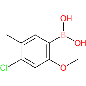 (4-chloro-2-methoxy-5-methylphenyl)boronic acid