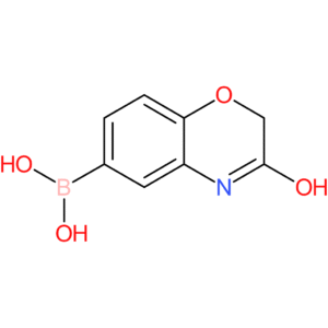 (3-hydroxy-2h-1,4-benzoxazin-6-yl)boronic acid