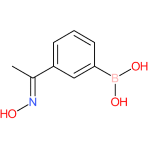 (E)-(3-(1-(hydroxyimino)ethyl)phenyl)boronic acid