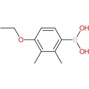 4-ethoxy-2,3-dimethylphenylboronic acid