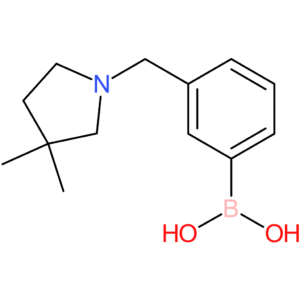 (3-[(3,3-dimethylpyrrolidin-1-yl)methyl]phenyl)boronic acid