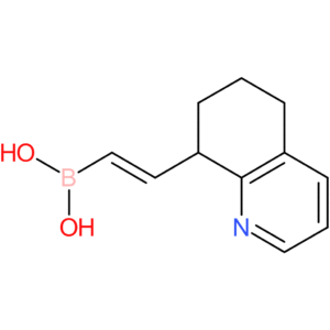 (E)-(2-(5,6,7,8-tetrahydroquinolin-8-yl)vinyl)boronic acid