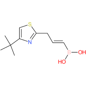 (E)-(3-(4-(tert-butyl)thiazol-2-yl)prop-1-en-1-yl)boronic acid