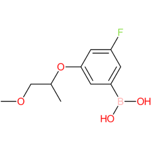 (3-fluoro-5-[(1-methoxypropan-2-yl)oxy]phenyl)boronic acid