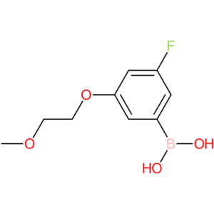 [3-fluoro-5-(2-methoxyethoxy)phenyl]boronic acid
