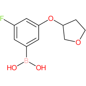 [3-fluoro-5-(oxolan-3-yloxy)phenyl]boronic acid