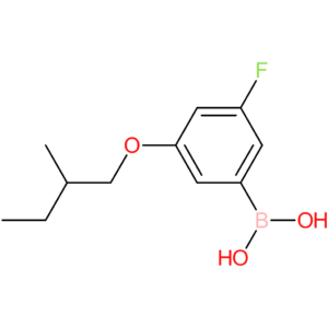 [3-fluoro-5-(2-methylbutoxy)phenyl]boronic acid