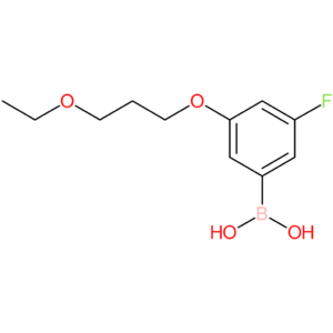 [3-(3-ethoxypropoxy)-5-fluorophenyl]boronic acid