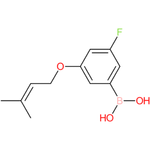 (3-fluoro-5-[(3-methylbut-2-en-1-yl)oxy]phenyl)boronic acid
