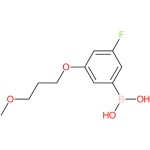[3-fluoro-5-(3-methoxypropoxy)phenyl]boronic acid