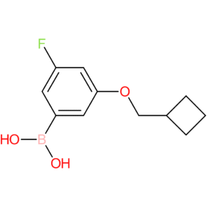 [3-(cyclobutylmethoxy)-5-fluorophenyl]boronic acid