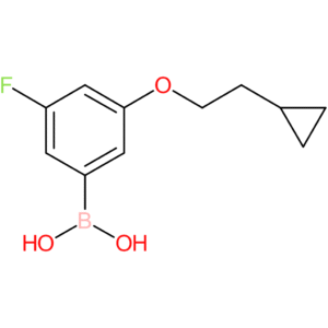 [3-(2-cyclopropylethoxy)-5-fluorophenyl]boronic acid