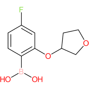 [4-fluoro-2-(oxolan-3-yloxy)phenyl]boronic acid