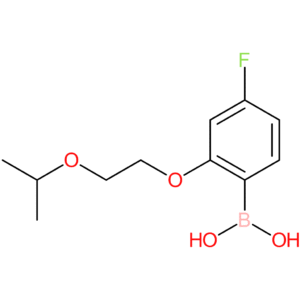 (4-fluoro-2-[2-(propan-2-yloxy)ethoxy]phenyl)boronic acid