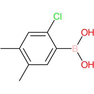 (2-chloro-4,5-dimethylphenyl)boronic acid