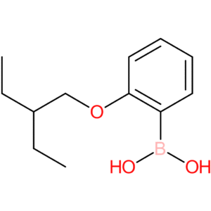 [2-(2-ethylbutoxy)phenyl]boronic acid
