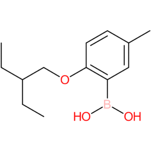 [2-(2-ethylbutoxy)-5-methylphenyl]boronic acid