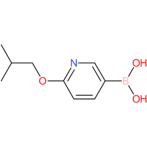 2-isobutoxypyridine-5-boronic acid