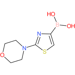 (2-morpholinothiazol-4-yl)boronic acid