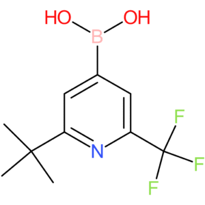 2-(tert-butyl)-6-(trifluoromethyl)pyridine-4-boronic acid