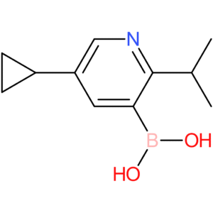 2-(iso-propyl)-5-(cyclopropyl)pyridine-3-boronic acid