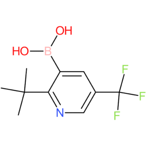 2-(tert-butyl)-5-(trifluoromethyl)pyridine-3-boronic acid